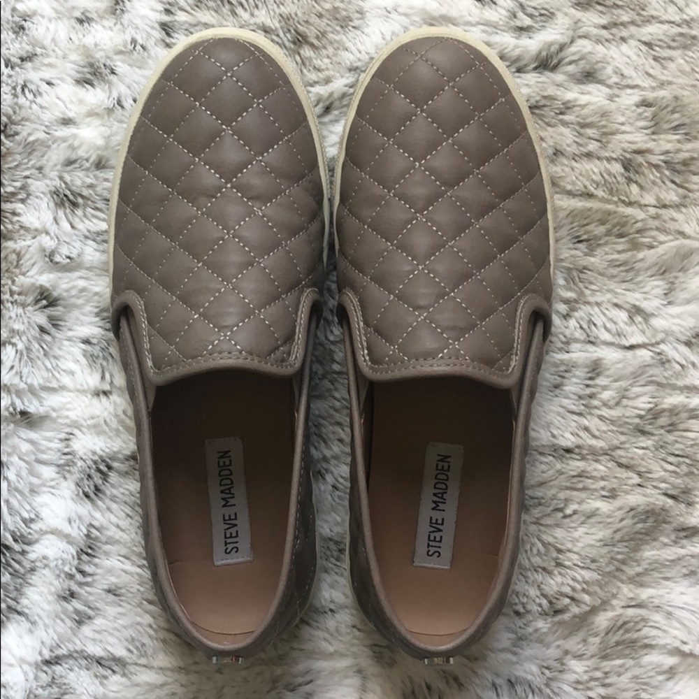 Steve Madden ECENTRCQ